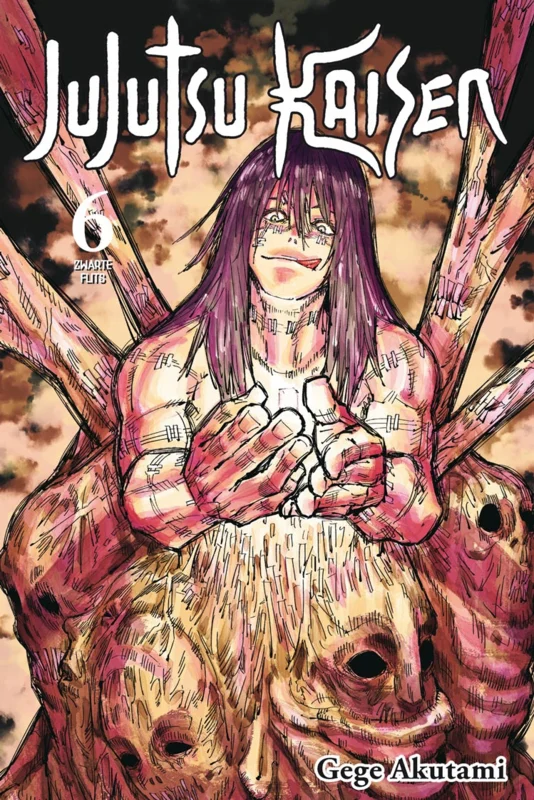 Jujutsu Kaisen 6